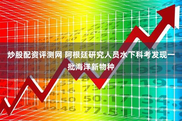 炒股配资评测网 阿根廷研究人员水下科考发现一批海洋新物种