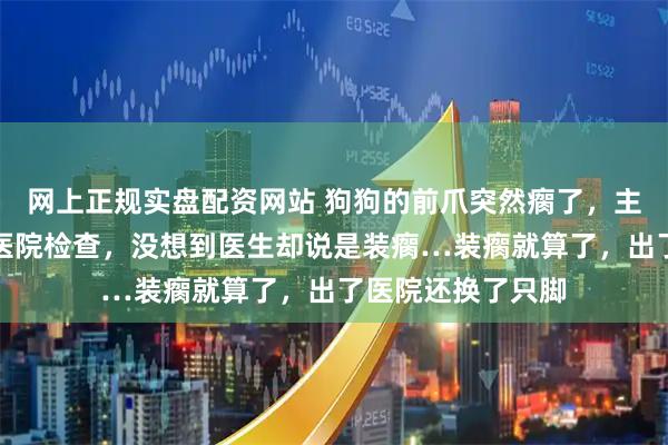 网上正规实盘配资网站 狗狗的前爪突然瘸了，主人花了一千多去医院检查，没想到医生却说是装瘸…装瘸就算了，出了医院还换了只脚