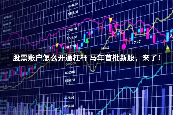 股票账户怎么开通杠杆 马年首批新股，来了！